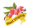West Virginia State Flower  (Rhododendrons)