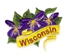 Wisconsin State Flower (Wood Violet)
