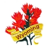 Wyoming State Flower (Indian Paintbrush)