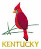 Kentucky State Bird - Cardinal