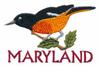 Maryland State Bird - Baltimore Oriole