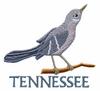 Tennessee State Bird - Mockingbird