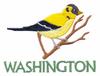 Washington State Bird - Willow Goldfinch