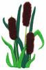 Bullrushes (Yarn)