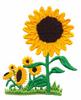 Sunflower Field (Yarn)