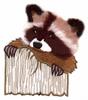 Raccoon (Yarn)