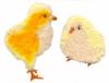 Fuzzy Chicks (Yarn)
