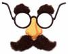 Gag Glasses (Yarn)