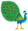 Peacock (Yarn)