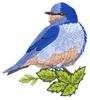 Mountain Bluebird (Yarn)