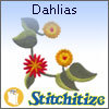Dahlias - Pack