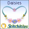 Daisies - Pack